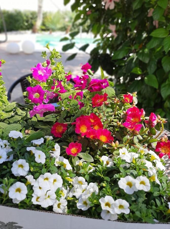 Villetta Del Salento Exclusive B&B 加利波利 外观 照片