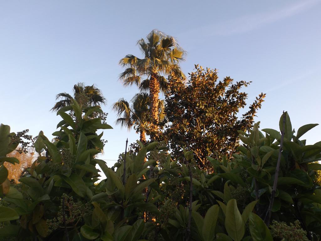 Villetta Del Salento Exclusive B&B 加利波利 外观 照片